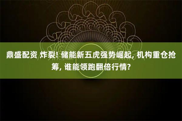 鼎盛配资 炸裂! 储能新五虎强势崛起, 机构重仓抢筹, 谁能领跑翻倍行情?