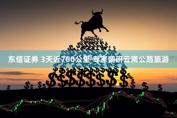 东信证券 3天近700公里 专家调研云南公路旅游